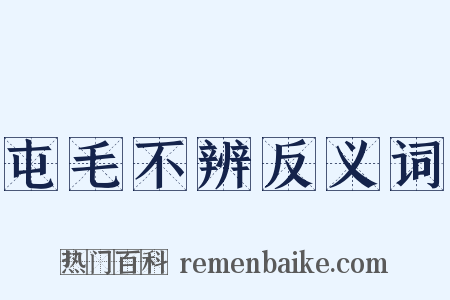 屯毛不辨反义词是什么意思的图片